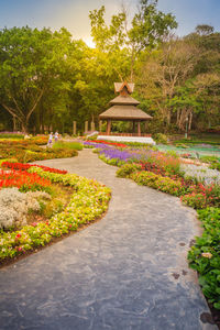 Footpath in garden at park