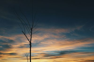 Close-up of silhouette tree against sky during sunset