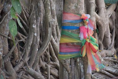 Multi colored umbrellas