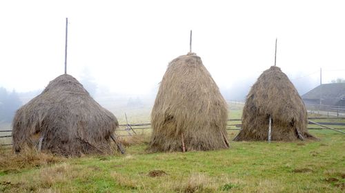Hay bales on field against clear sky