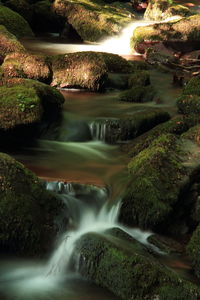 Scenic view of waterfall