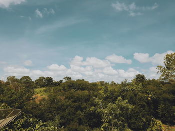 Low angle view of trees against sky