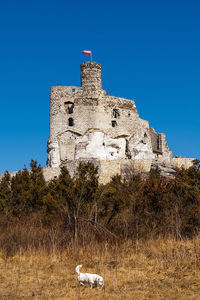 Low angle view of building against clear blue sky