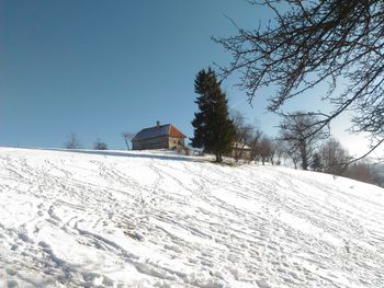 Houses on snow covered trees against sky