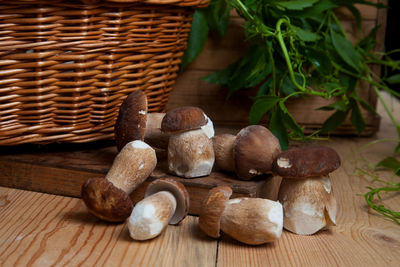 Close-up of mushrooms in wicker basket