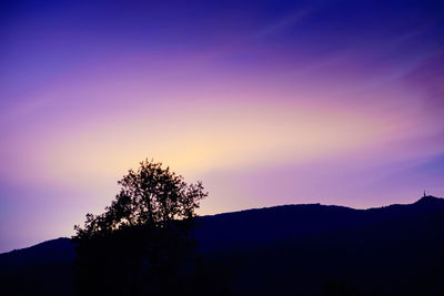 Silhouette tree against sky at sunset