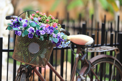 Close-up of flowering plants in basket