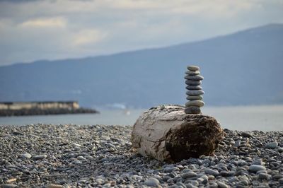 Pebbles stacked on driftwood at sea shore