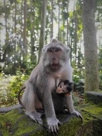 The bond of mom and child in the deep forest