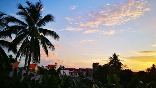 Silhouette palm trees and buildings against sky at sunset