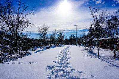 Snow covered plants by trees against sky