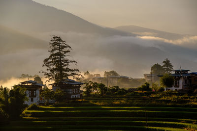 Scenic view of field against sky during sunset