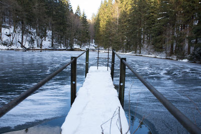 Snow covered footbridge amidst trees