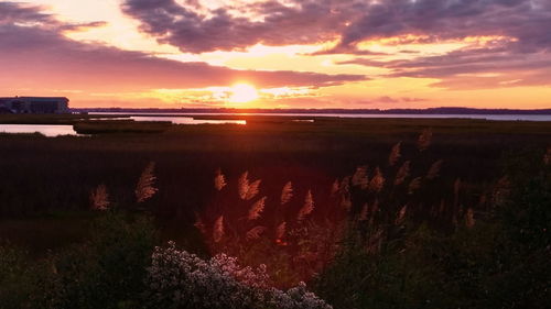 Scenic view of lake against sky during sunset