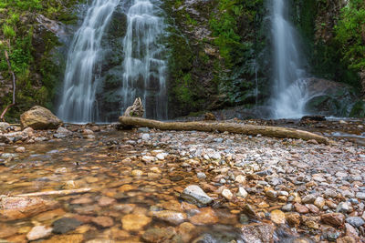 Scenic view of waterfall in forest