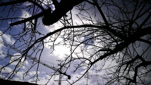 Low angle view of bare tree against sky