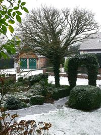 View of building with trees in foreground