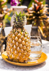 Close-up of potted plant on table