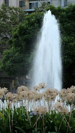 View of waterfall