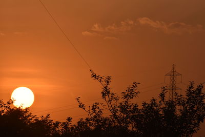 Low angle view of silhouette trees against orange sky