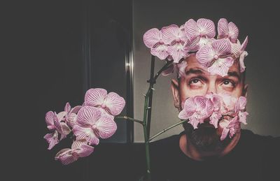 Portrait of pink flowering plant against black background