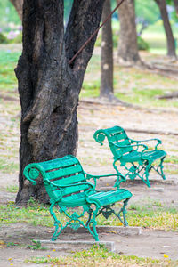 Close-up of tree trunk against blue sky