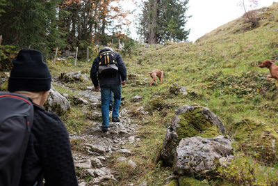 Rear view of people walking in forest