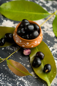 High angle view of black fruits on leaves