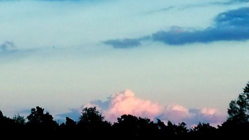 Low angle view of silhouette trees against cloudy sky