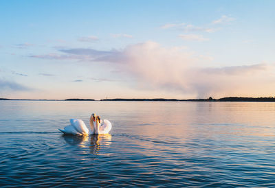 Woman swimming in sea against sky during sunset