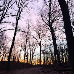 Silhouette bare trees on field against sky