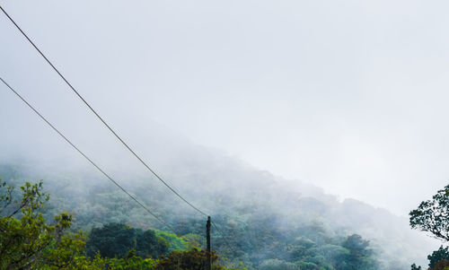 Low angle view of trees and mountain against sky