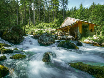 Stream flowing through rocks in forest