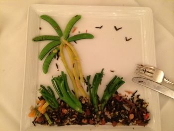 Close-up of leaves on table