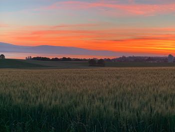 Scenic view of field against sky during sunset