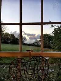 View of trees against sky seen through window