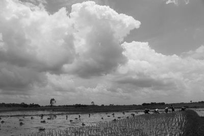 Scenic view of beach against sky