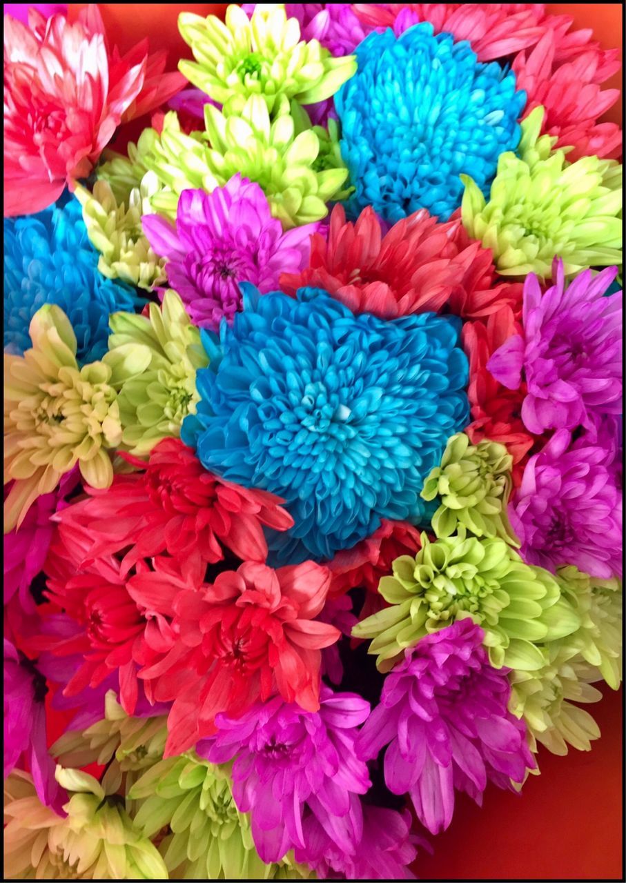 flower, multi colored, red, fragility, beauty in nature, freshness, blue, flower head, vibrant color, petal, nature, close-up, variation, chrysanthemum, day, no people, bouquet, outdoors, gerbera daisy, flower market, dahlia