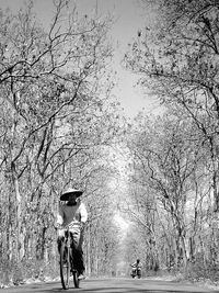 Road passing through forest