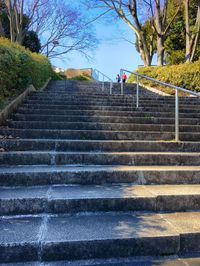 Low angle view of steps and trees against sky