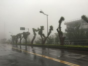 View of road along trees