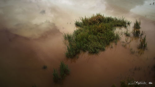 High angle view of trees against sky during sunset