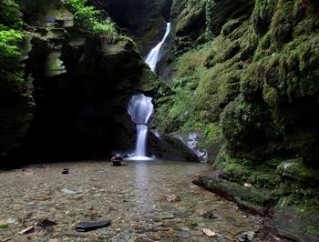 Scenic view of waterfall in forest