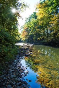 Scenic view of lake amidst trees during autumn