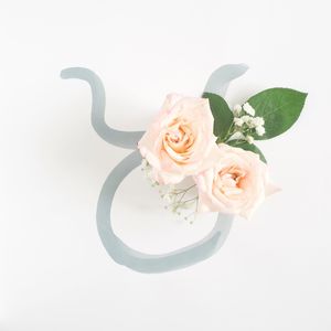 Close-up of rose bouquet against white background