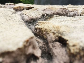 Surface level of rocks