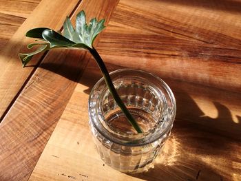 High angle view of flower in vase on table