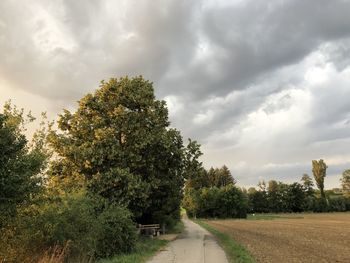Trees on field against sky