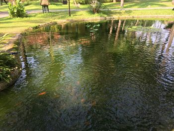 Reflection of trees in lake