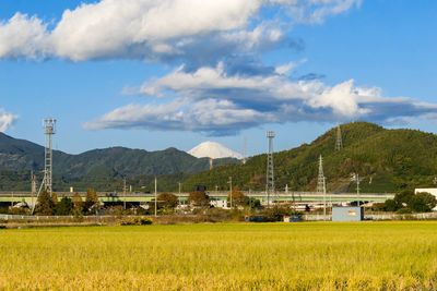 Scenic view of field against sky